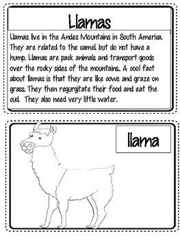Is Your Mama a LLama? Literacy, Comprehension and Science Resource