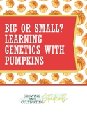 Is it Big or Small? Learning Genetics with Pumpkins Activi