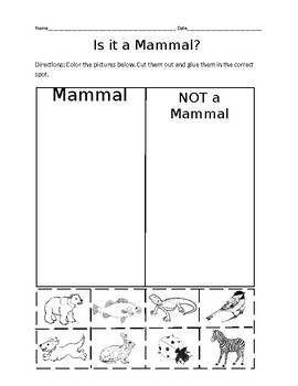 Preview of Is it a Mammal? Sort