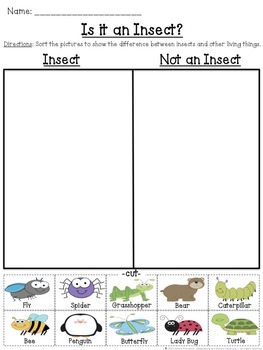 Is it an Insect? Cut and Paste Sorting Activity | TpT