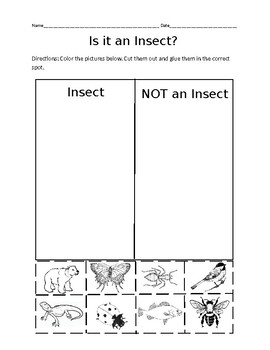 Download Is it an Insect? Sort by Teacher Becky | Teachers Pay Teachers