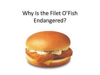 Preview of Is the Filet O'Fish Facing Extinction? Powerpoint, Handout, Summarizer