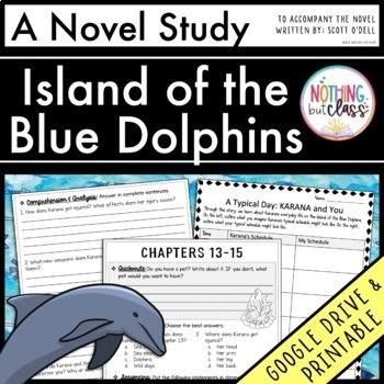 Preview of Island of the Blue Dolphins Novel Study Unit - Comprehension | Activities | Test