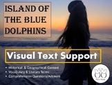 Island of the Blue Dolphins Visual Novel Study with Compre