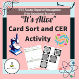 It's Alive NYS Investigation- Card Sort and CER Graphic Or