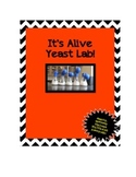 It's Alive Yeast Lab! Characteristics of Living Things Review