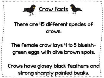 Crow Facts and Crafty by Tootsie and Teed
