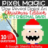 It's Christmas, David! - A Pixel Art Activity