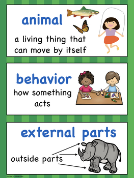 science vocabulary 1st grade by science and steam team tpt