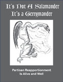 It's Not a Salamander; It's a Gerrymander