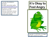 It's Okay to Feel Angry social story and strategies