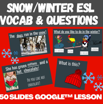 Preview of It's Snowing! ESL Notes/Questions  | English Winter Vocabulary for Newcomers