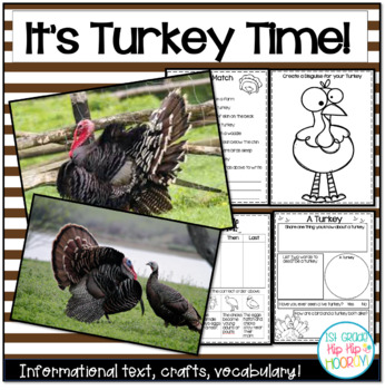 Preview of It's Turkey Time with Informational Text and Research for the Primary Child!
