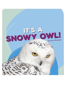 Preview of It's a Snowy Owl!
