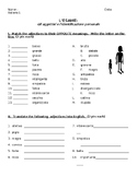 Italian Adjectives Quiz