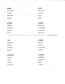 Preview of Italian Adjectives Practice