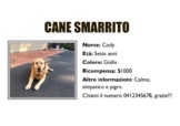 Italian Animals - Lost Pet Poster