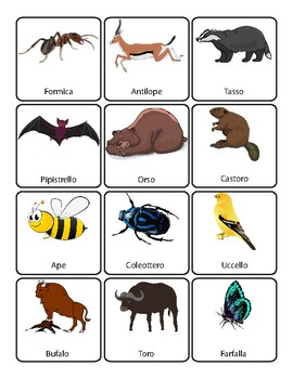 Preview of Italian Animals' Names Vocabulary Flashcards Labels for Classroom