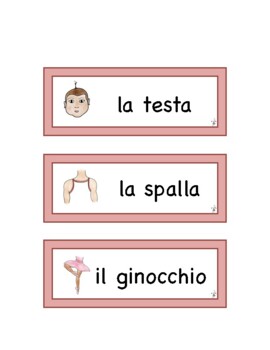 Preview of Italian Body WORD WALL
