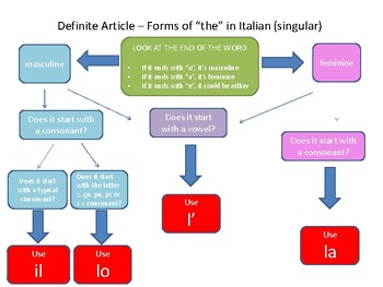 Preview of Italian Definite and Indefinite Articles Flow Charts