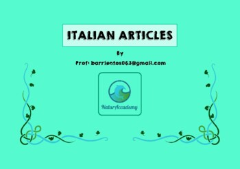 Preview of Italian Definitive Singular Articles