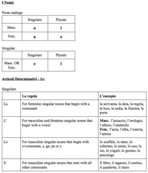 Preview of Italian Exercises: Definite & Indefinite Articles, Sing. & Pl. Nouns, Notes