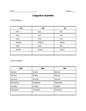 Italian Imperfect Subjunctive (reg and irreg) Worksheets /