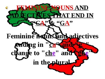 Preview of Italian Made Simple: Nouns and Adjectives Ending in "CA" and "GA"