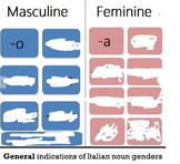 Italian Noun Gender Endings