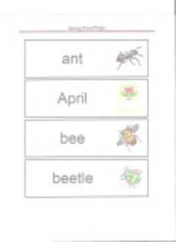 Preview of "It's Spring" Word Walls