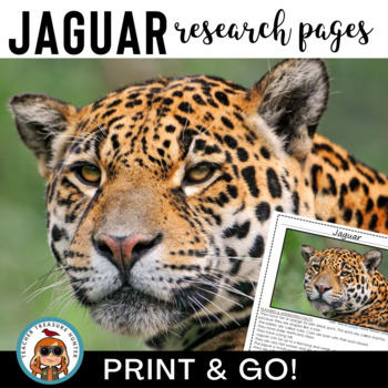 Preview of JAGUAR Research and Reading Pages Rainforest Animal Reports