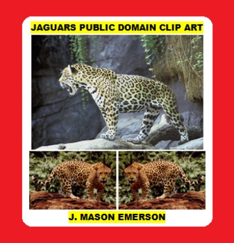 Preview of JAGUARS PUBLIC DOMAIN CLIP ART