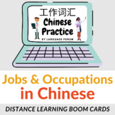 JOBS & OCCUPATIONS Chinese Distance Learning | Professions