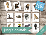 JUNGLE ANIMALS • 22 Editable Montessori 3-part Cards • Fla