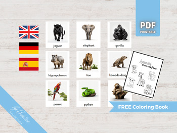 Preview of JUNGLE ANIMALS • 24 Montessori Cards •  German Spanish Flashcards • Nomenclature
