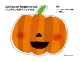 Jack O'Lantern Pumpkin Life Cycle Craft：パンプキンのライフサイクル