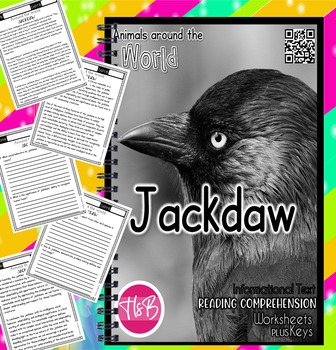 Preview of Jackdaw | Worksheets | Animals Around The World | Science | Nature