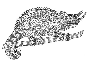 reptile coloring teaching resources teachers pay teachers