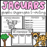 Jaguar Graphic Organizers- Writing- Labeling Parts of a Ja