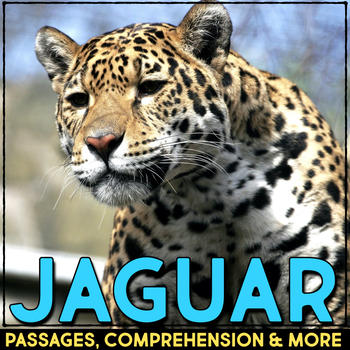 Preview of Jaguar Reading Passage & Comprehension Activities Nonfiction Rainforest Animals