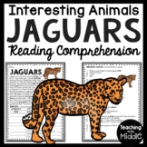 Jaguars Informational Text Reading Comprehension Worksheet