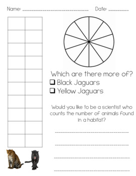 Preview of Jaguars of the Rainforest Graphing