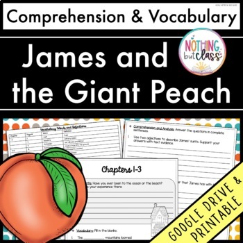 Preview of James and the Giant Peach | Comprehension Questions and Vocabulary by chapter