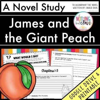 Preview of James and the Giant Peach Novel Study Unit - Comprehension | Activities | Tests