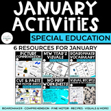 January Activities Bundle | Special Education
