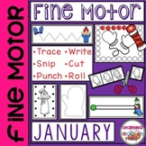 January Fine Motor Activities 