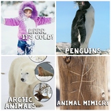 January Nonfiction - In The News (snow, penguins, Arctic, 