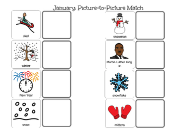 Preview of January Picture and Word Match
