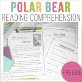 Polar Bear Themed Reading Comprehension Freebie