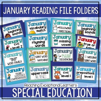 Preview of January Reading File Folders